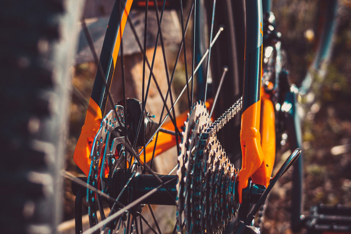 Bild Bikepark Coswig