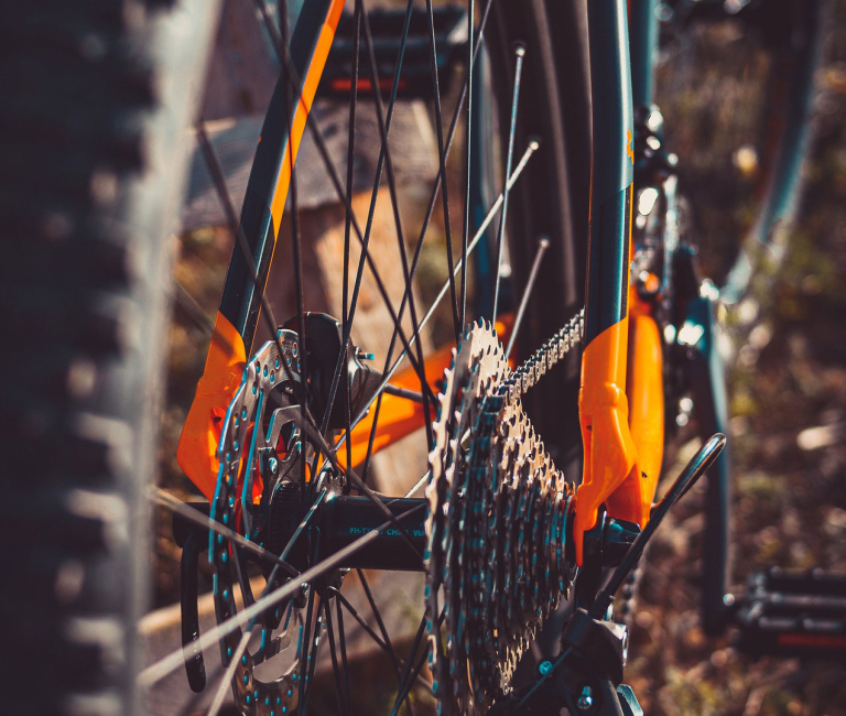 Bild Bikepark Coswig