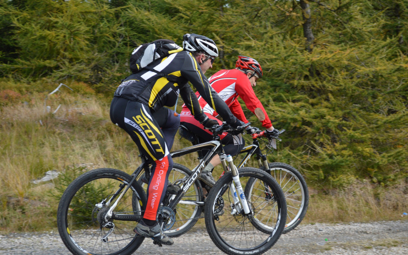 Bild Bikepark Coswig