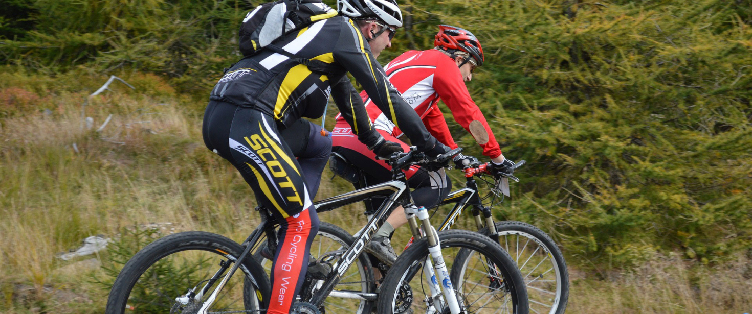 Bild Bikepark Coswig