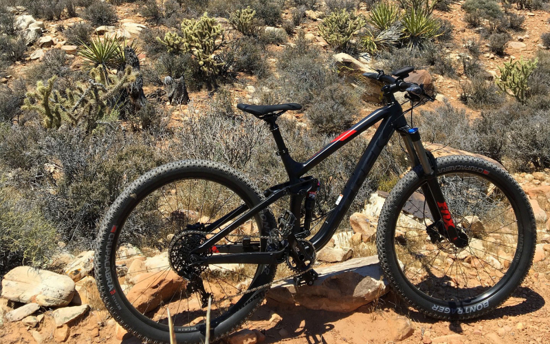 Bild Bikepark Coswig